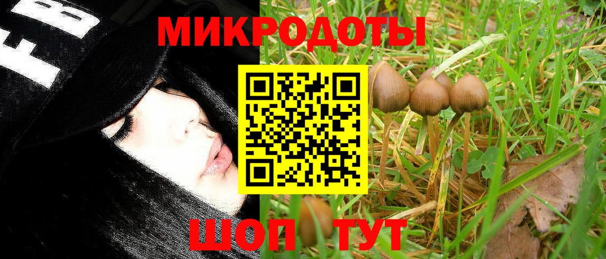 Галлюциногенные грибы GOLDEN TEACHER Мурино