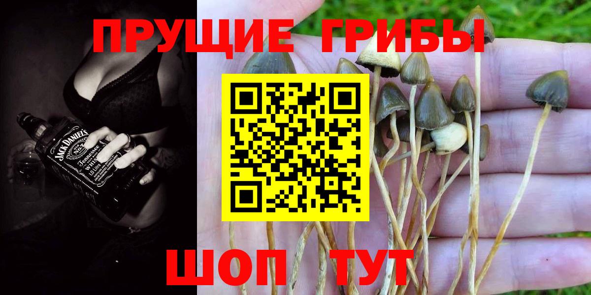 Метамфетамин  Вход с VPN  Мурино  Меф МЯУ МЯУ   КОКАИН  MDMA  ГАШИШ  Марихуана  Сколько стоит  Лсд 25 