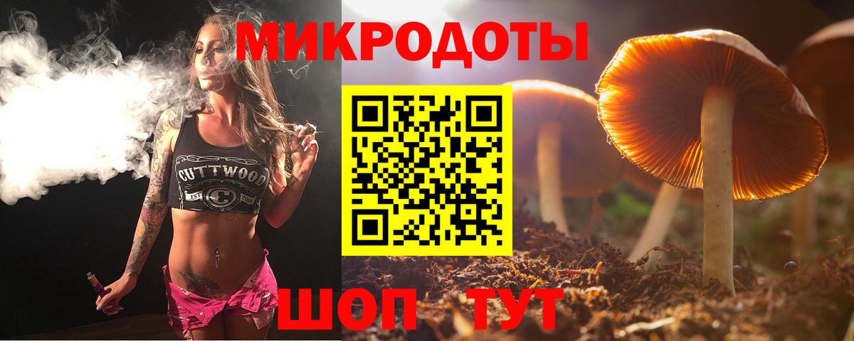 Мурино  где найти наркотики  Вход с VPN  Псилоцибиновые грибы GOLDEN TEACHER 